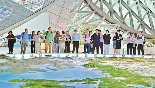 深圳國(guó)內(nèi)旅游業(yè)務(wù)迎來(lái)新機(jī)遇 創(chuàng)新融合引領(lǐng)市場(chǎng)復(fù)蘇與增長(zhǎng)
