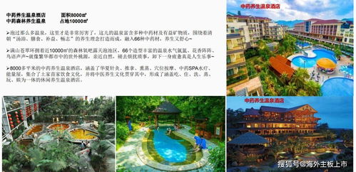 畫廊源 紅色旅游的資本新篇，重慶中虹源實業(yè)集團(tuán)的上市雄心